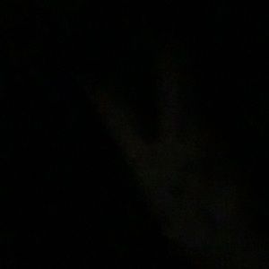 Meet your Posher, Gracie